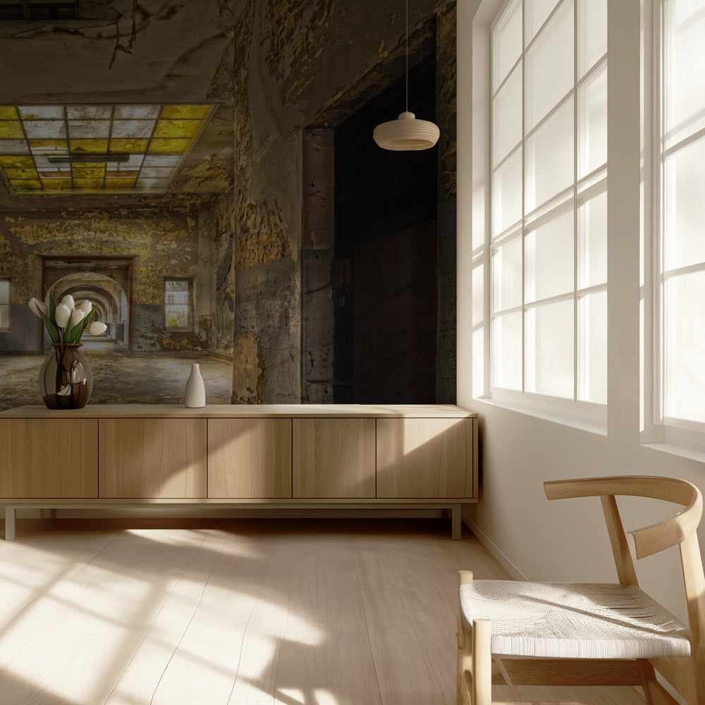 Labyrintskole | Fototapeter
