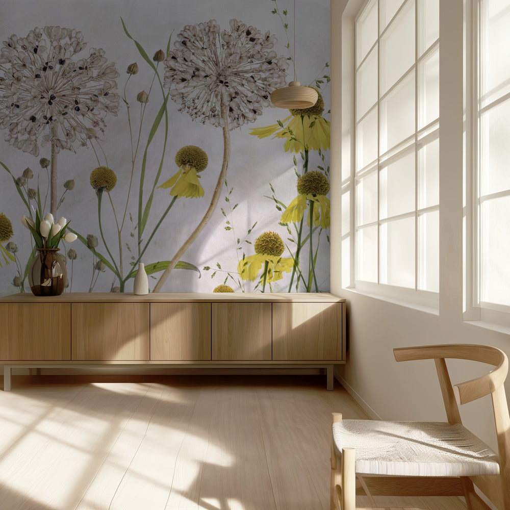 Alliums og heleniums | Fototapeter
