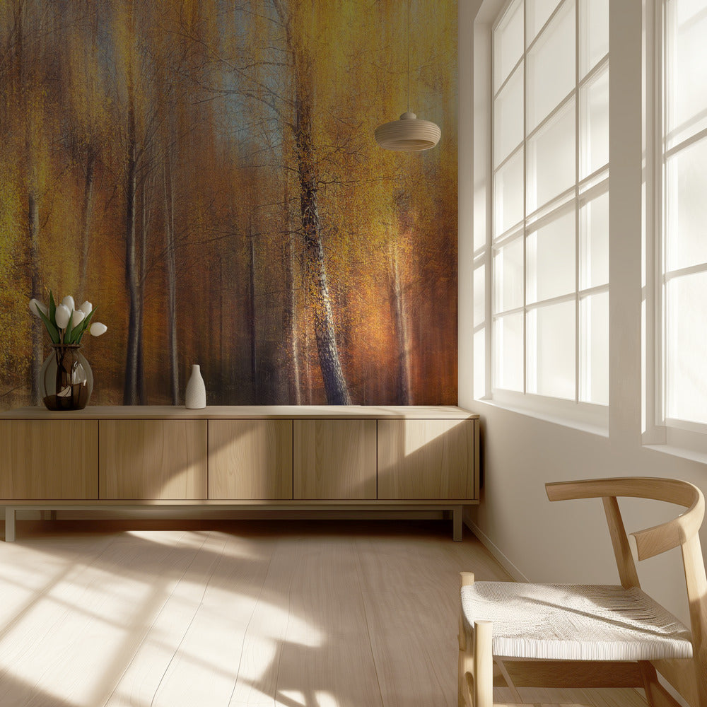 Autumn Birches | Wallpaper