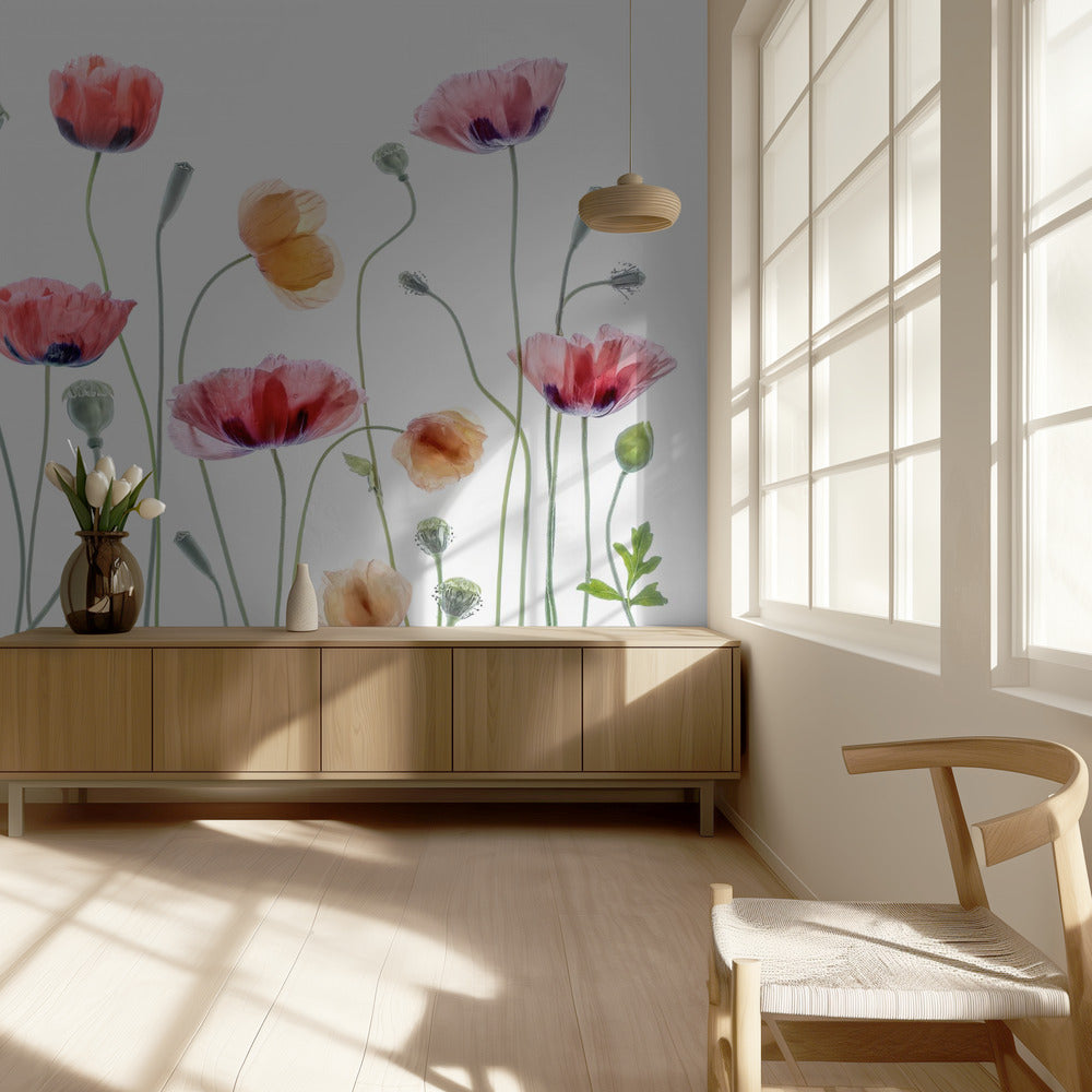 Papaver party | Wallpaper