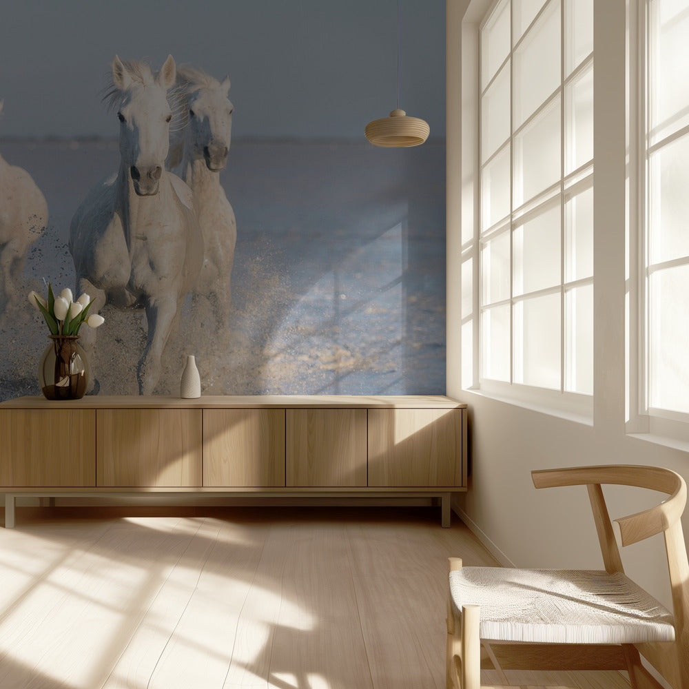 horses | Wallpaper