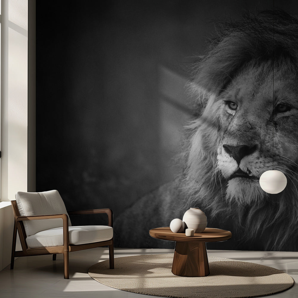 Regal | Wallpaper