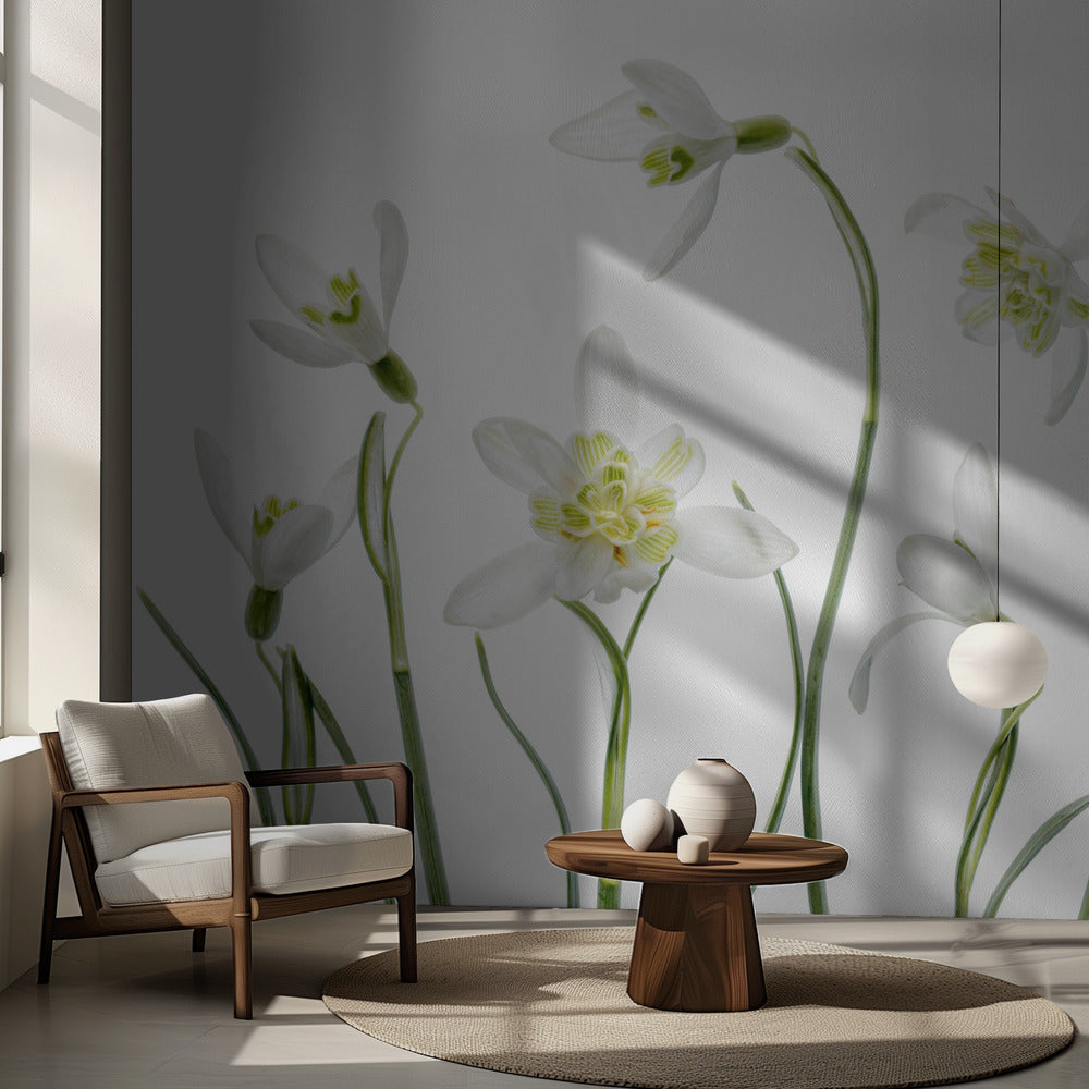 Spring Snowdrops | Wallpaper