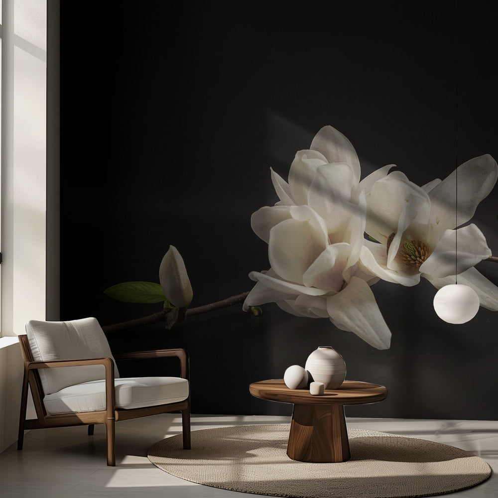 Magnolia | Wallpaper