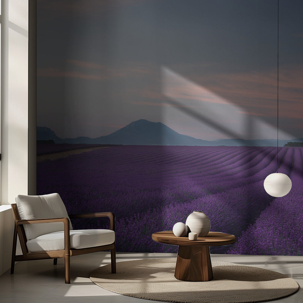 Lavender field | Wallpaper