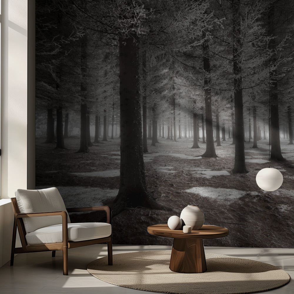 The onset of winter | Wallpaper