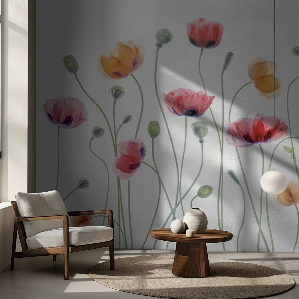Papaver party | Wallpaper