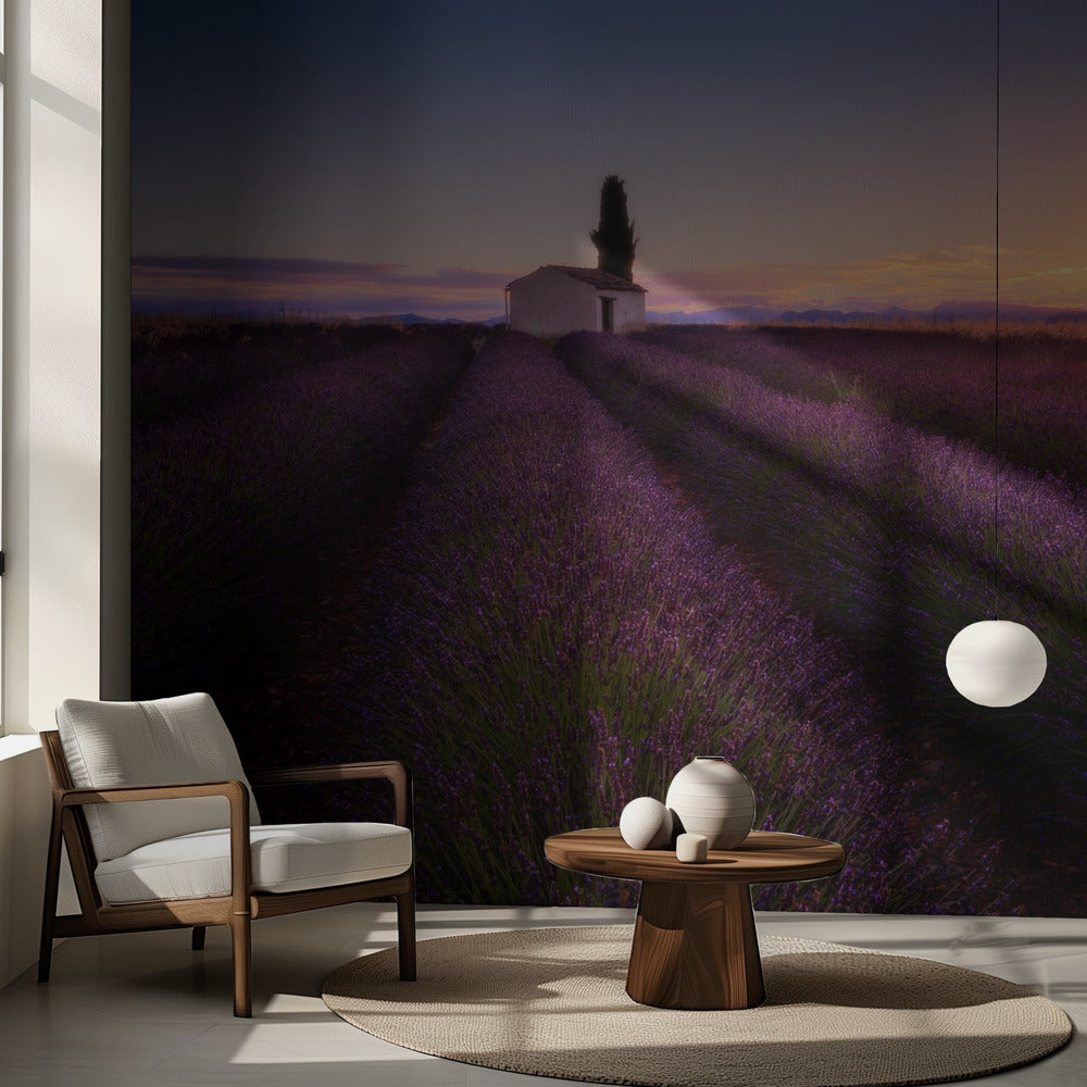 Provence Lavender | Wallpaper