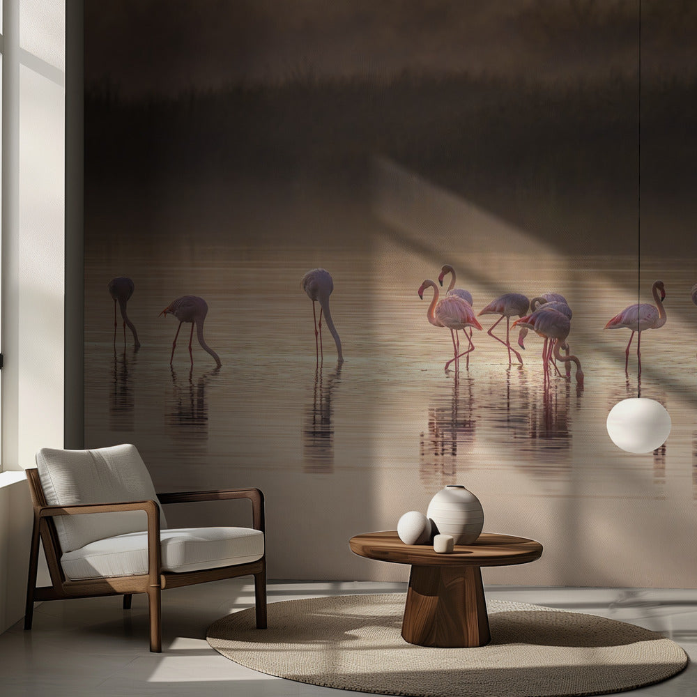 Photographic ode to Monet | Wallpaper