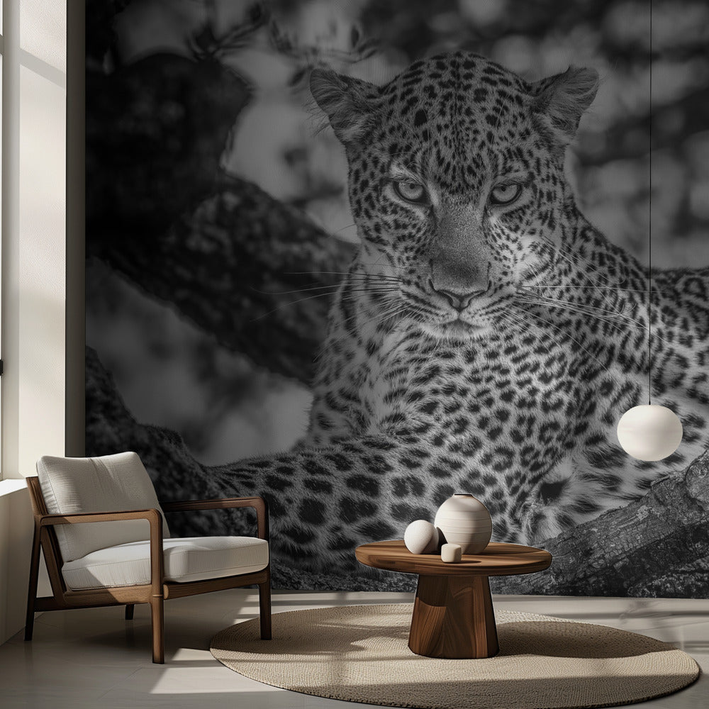 Monochrome beauty | Wallpaper