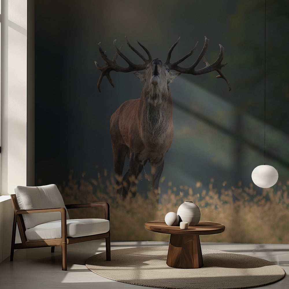 Deer wedding Song | Wallpaper