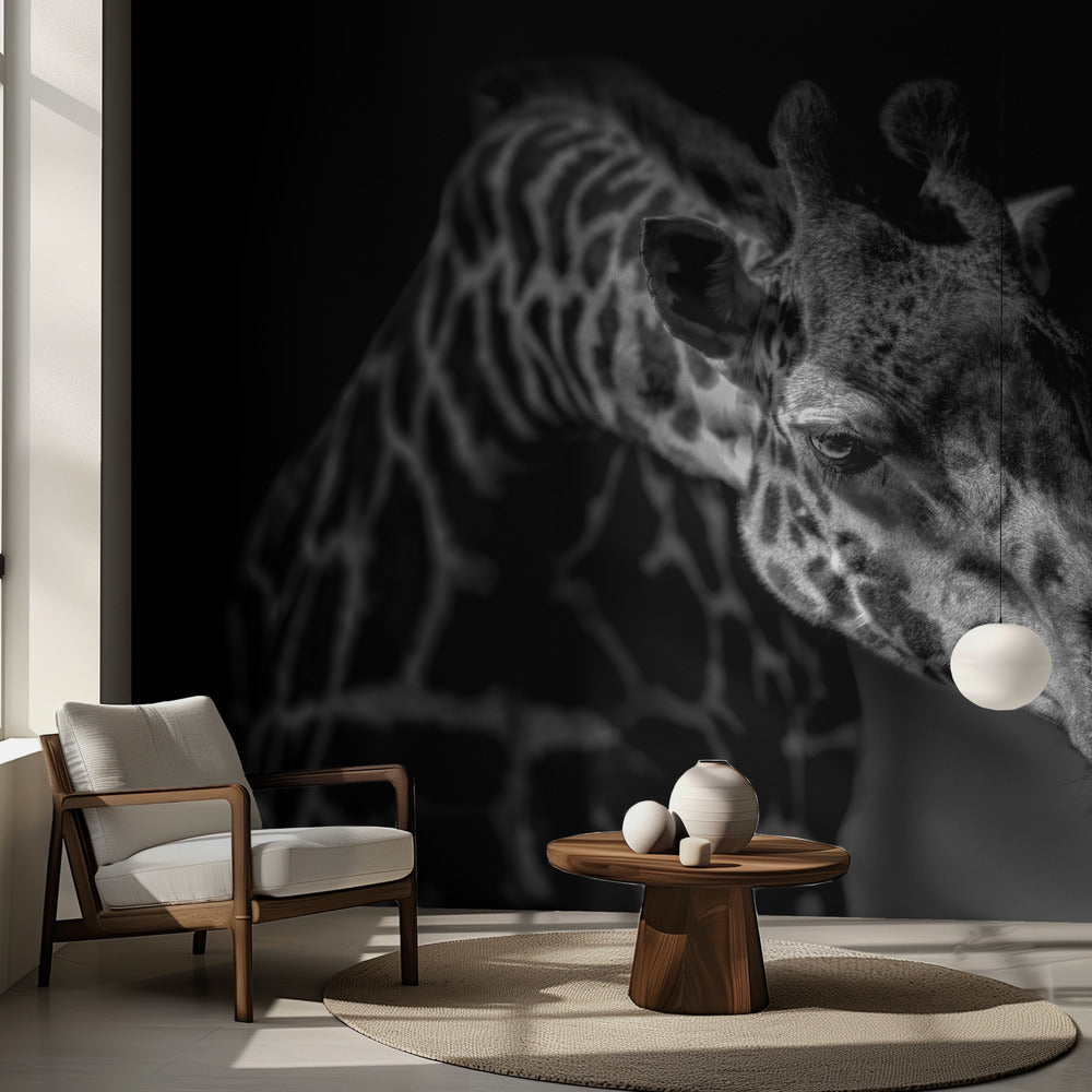 Giraffe | Wallpaper