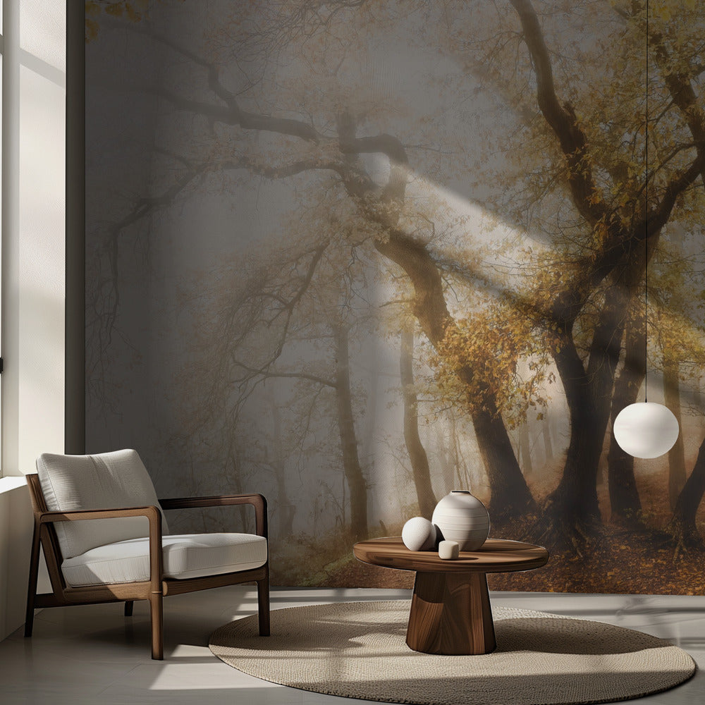 dancing trees | Wallpaper