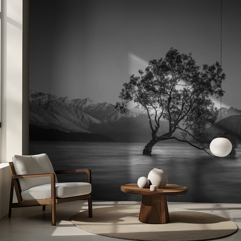 wanaka tree | Wallpaper