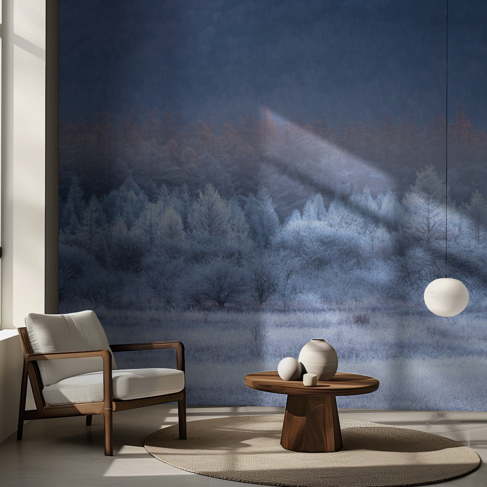 Autumn and Winter gradients | Wallpaper