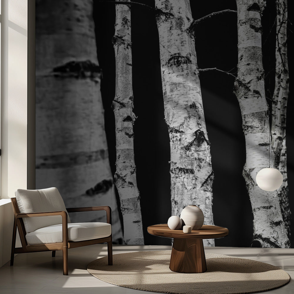 Birch Trees | Wallpaper