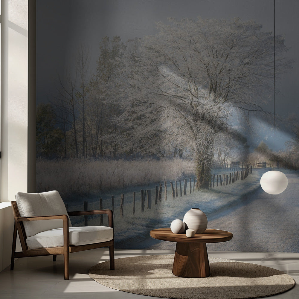 A Frosty Morning | Wallpaper