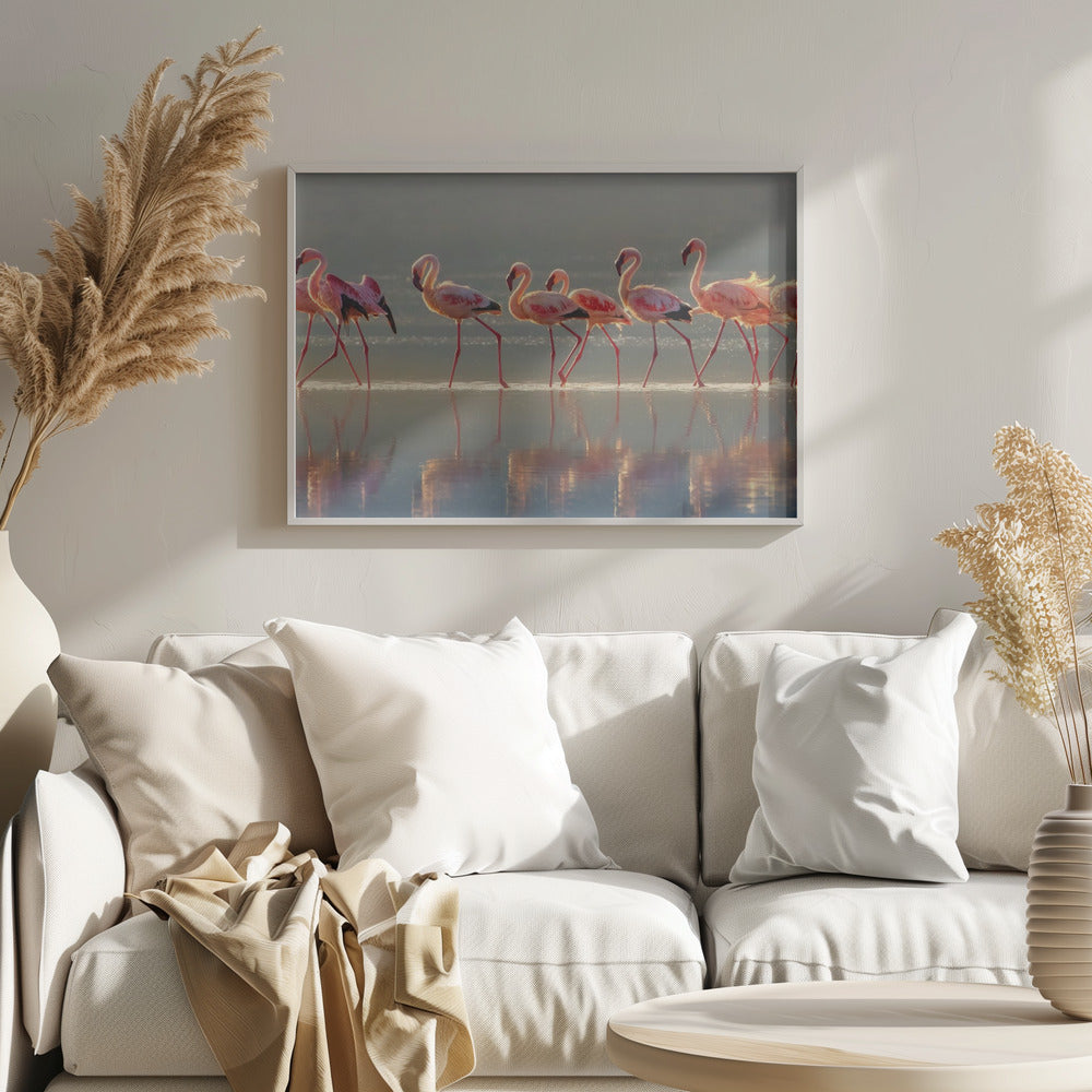 Flamingo | Poster
