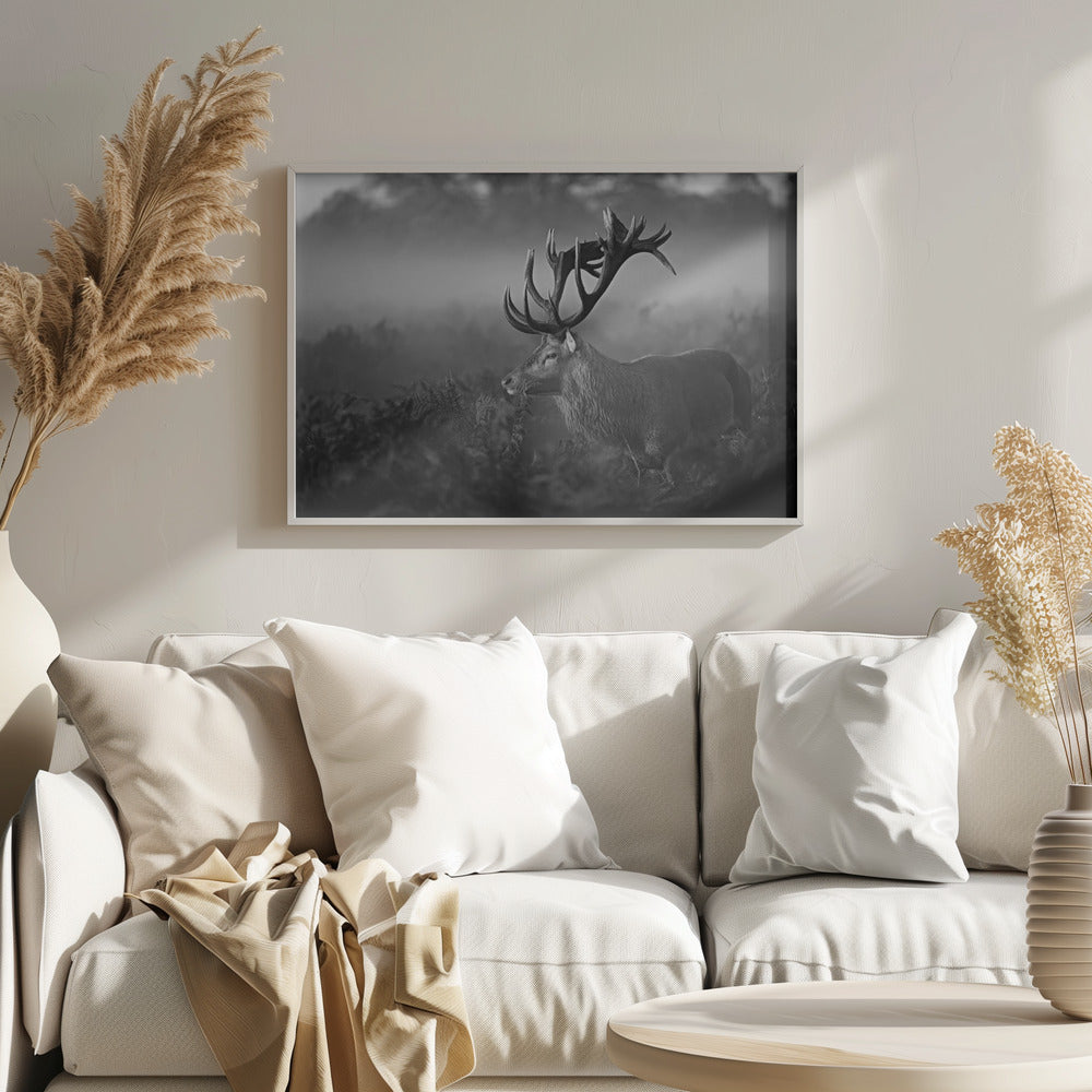 Sunny Morning | Poster
