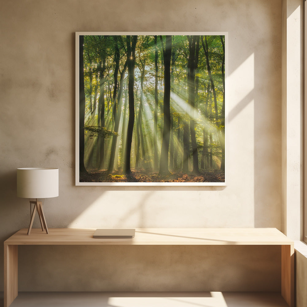 Sunny start to the day ........ | Poster