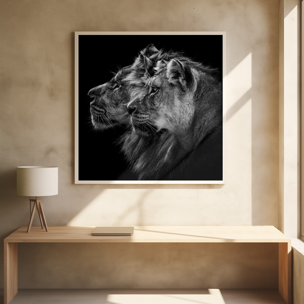 Lion and  lioness portrait | Poster