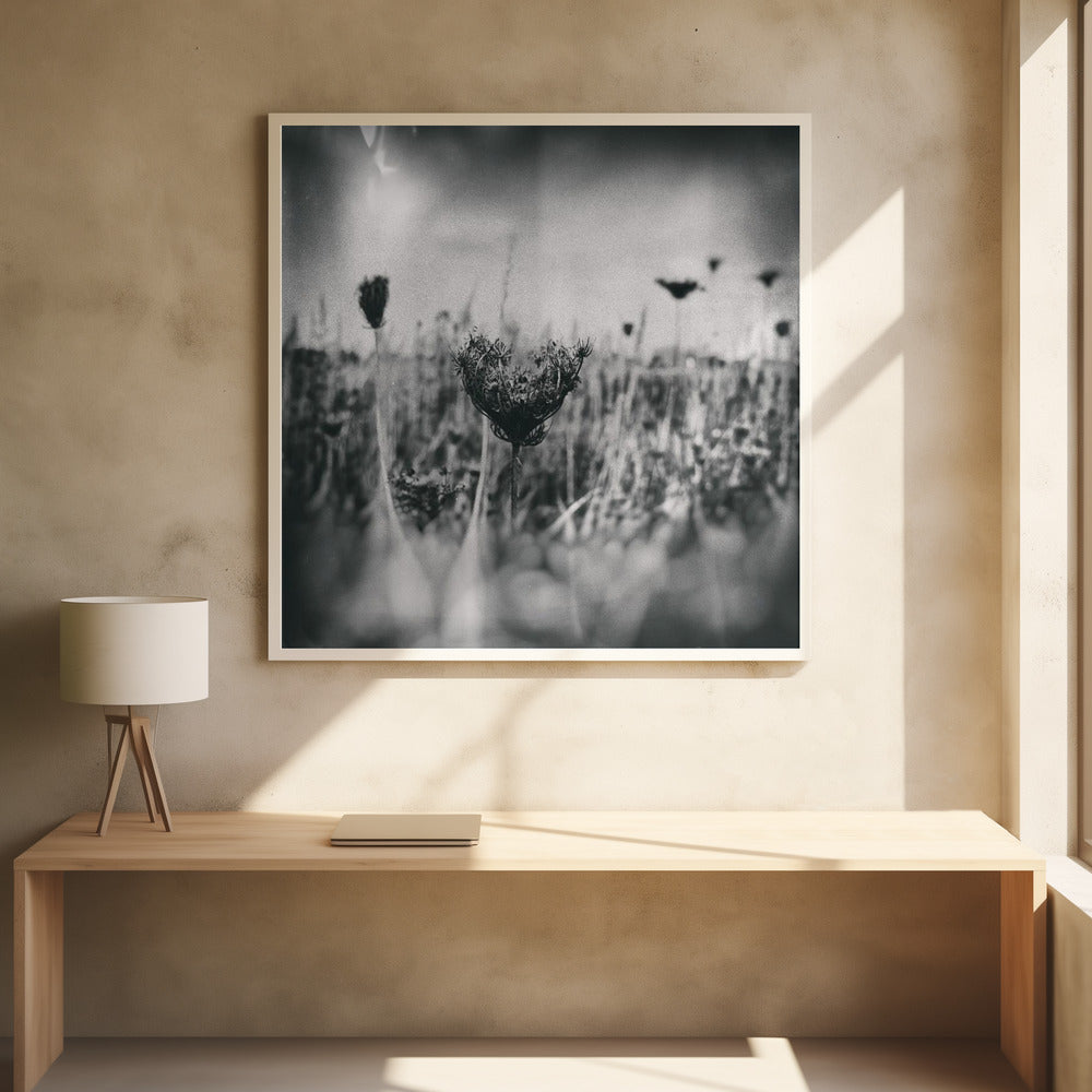 Wet Plate Photography Natur 4 | Poster