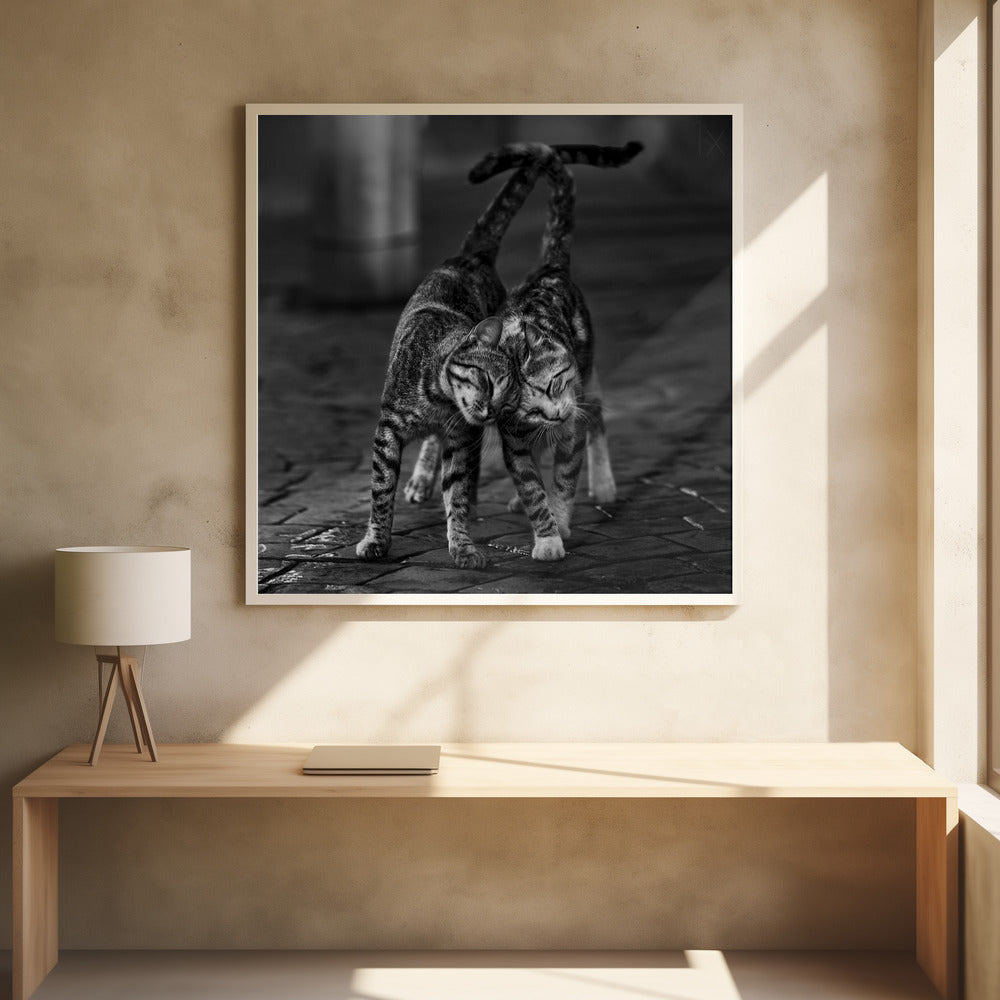 Untitled | Poster