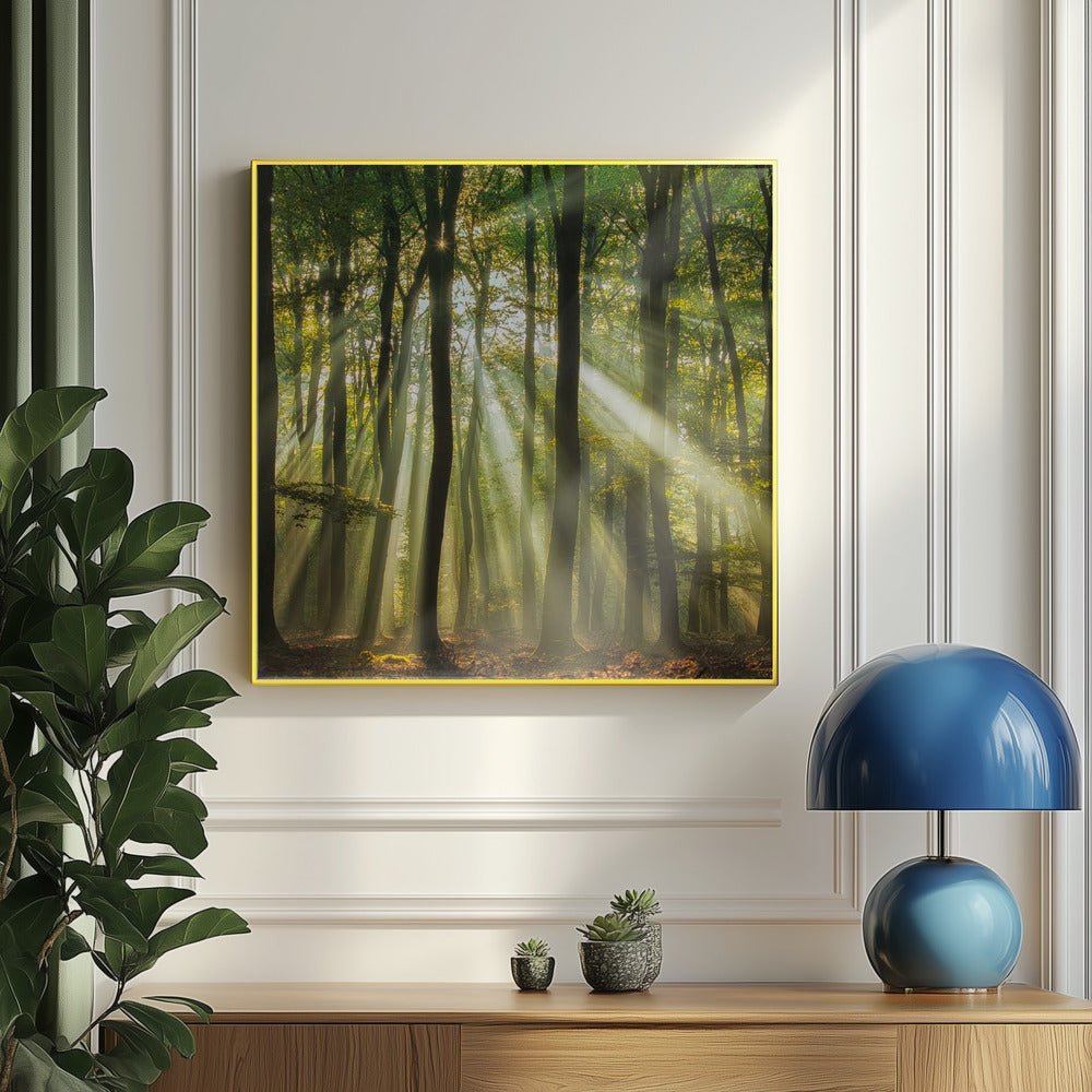 Sunny start to the day ........ | Poster