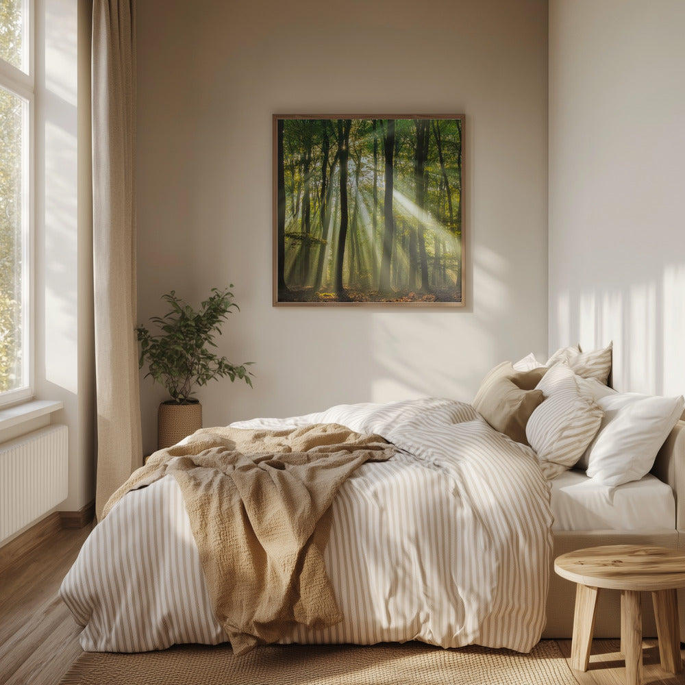 Sunny start to the day ........ | Poster