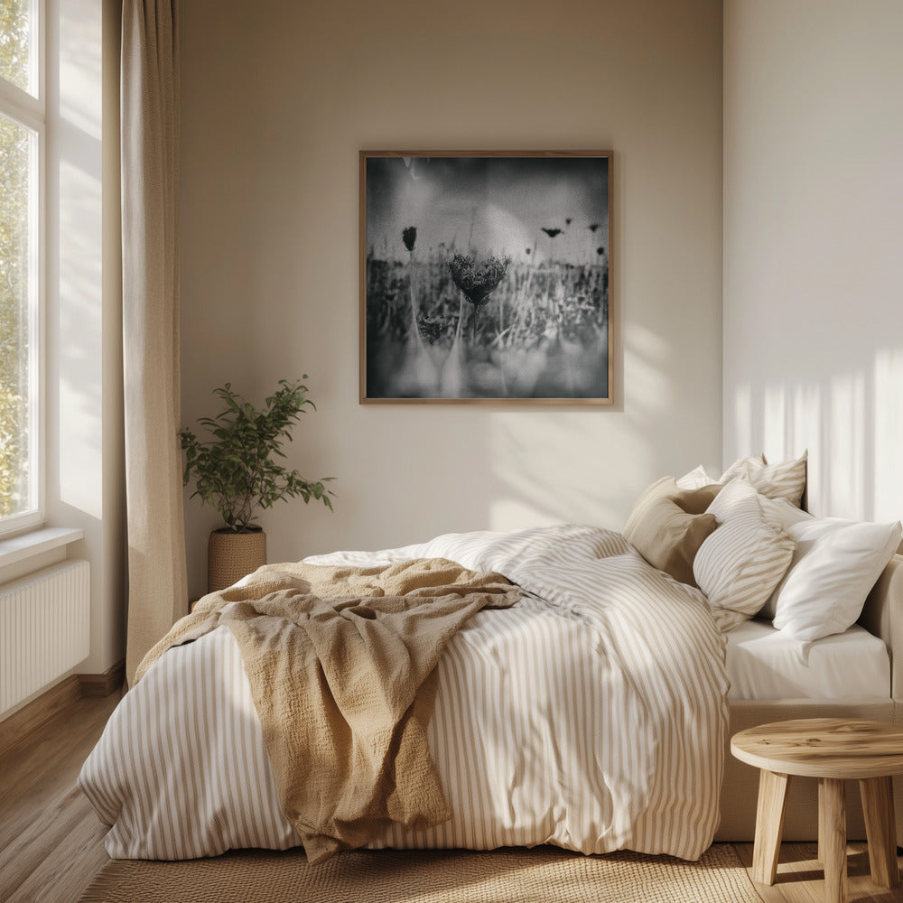 Wet Plate Photography Natur 4 | Poster