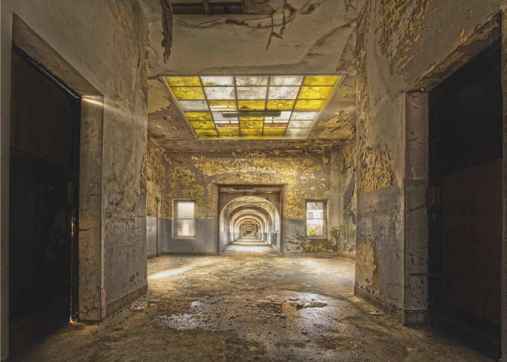 Labyrintskole | Fototapeter