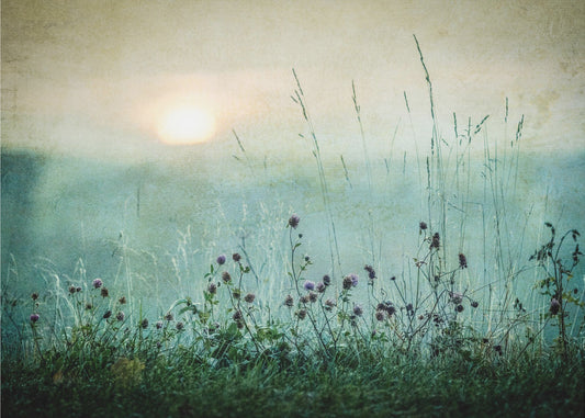 Autumn sunrise | Wallpaper