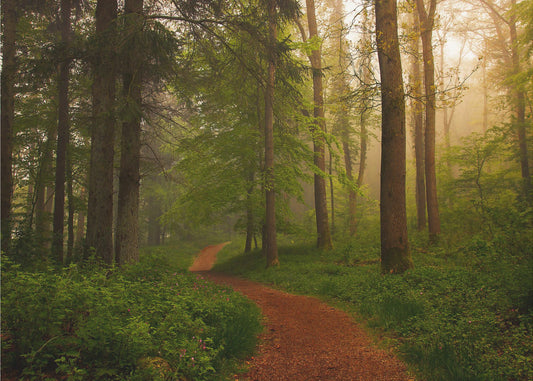 The Red Path. | Wallpaper