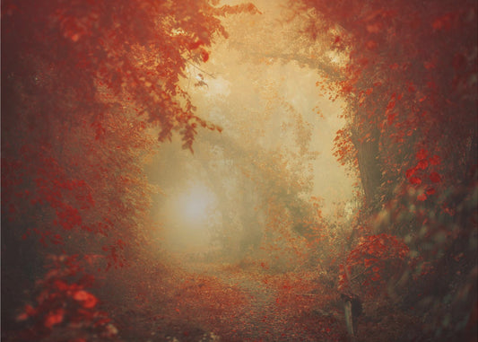 Personal Journey | Wallpaper
