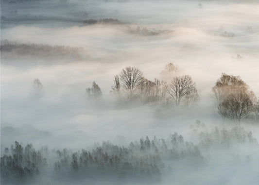 Winter fog | Wallpaper