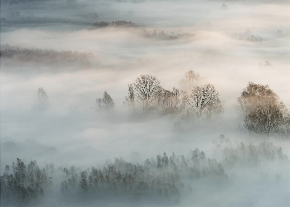 Vinterdimma | Fototapet