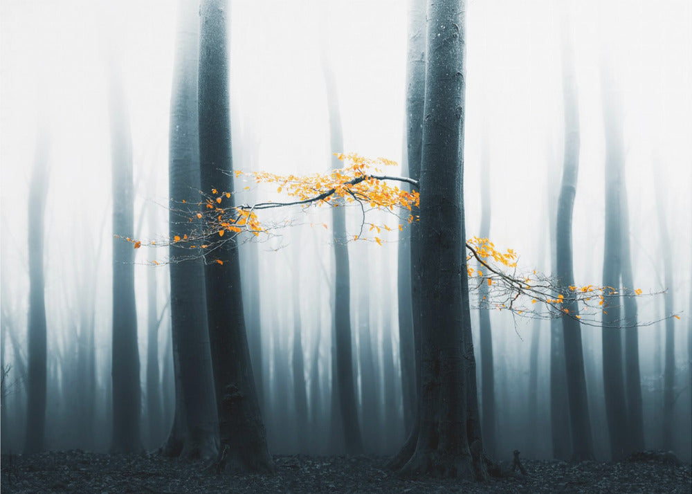 Speulder Revisited | Wallpaper