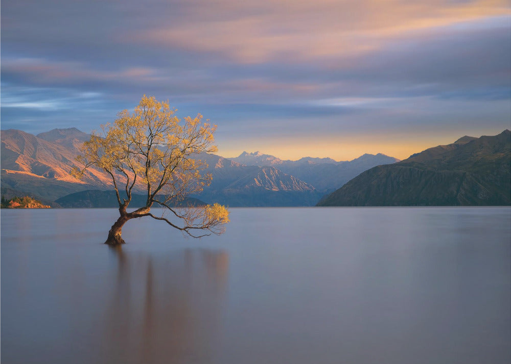 Morgenglühen | Fototapeten