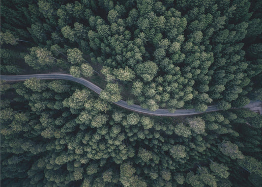 From above | Poster