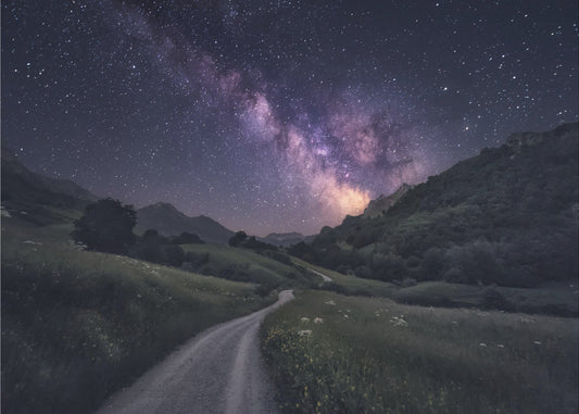 Path to the Stars | Poster