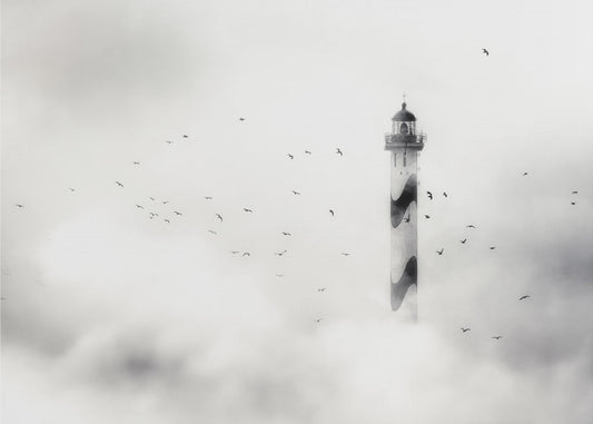 the fog | Wallpaper