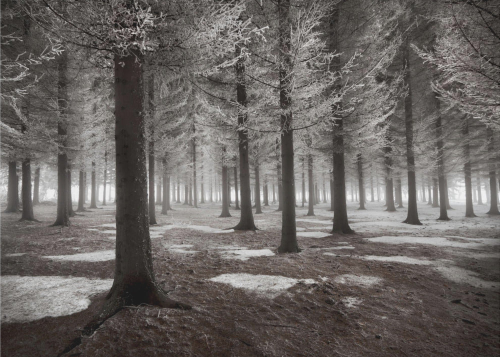 The onset of winter | Wallpaper