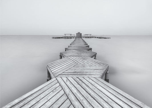 The Pier | Poster