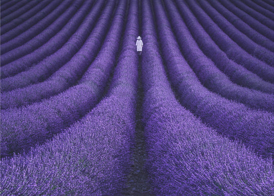 SHE | Poster