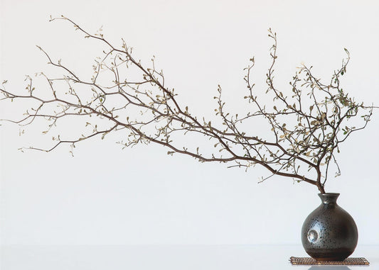 Vase And Branch | Poster