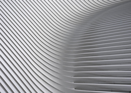 Calatrava Curves # 2 | Poster
