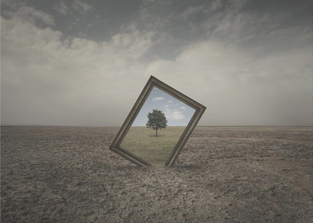 Future Of Nature | Canvas