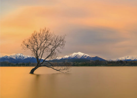 Morning glow of the Lake Wanaka | Wallpaper