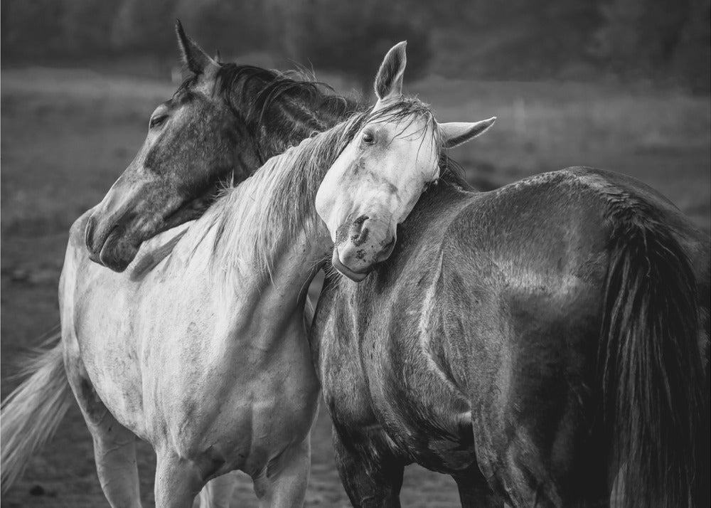 Pioggia calda | Carta da Parati Fotografica