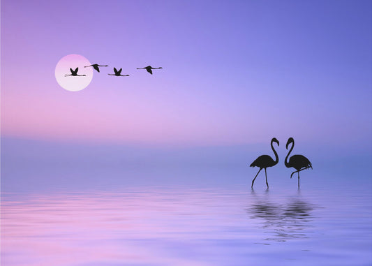 Flying Flamingo | Wallpaper